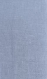 Aditya Birla Linen Club Solid Shirt Fabric  (Unstitched) LINEN-CLUB-6