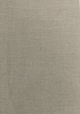 Aditya Birla Linen Club Solid Shirt Fabric  (Unstitched) LINEN-CLUB-8